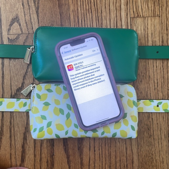 Kate Spade Belt Bag Set of Two, Lemon & Green NWT - Picture 3 of 16